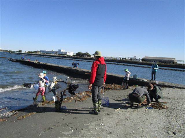 自然海浜観察.jpg