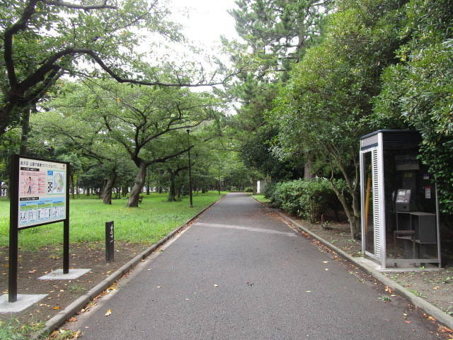 290831スタート2.jpg