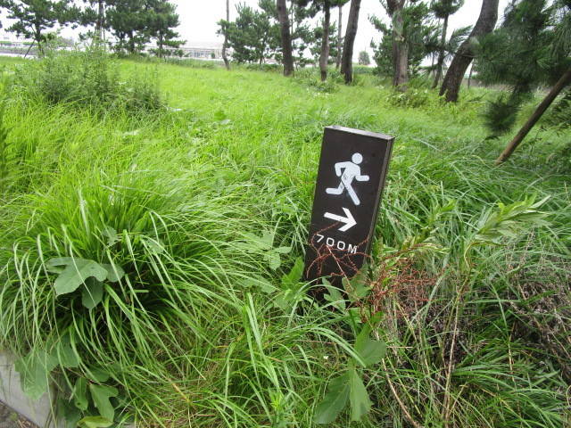七百付近.jpg