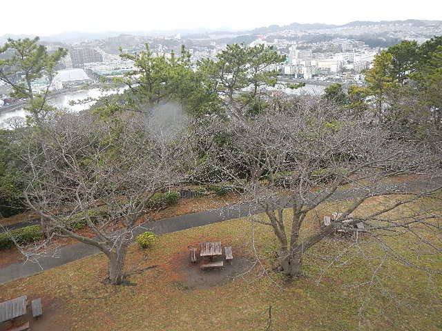 3月9日展望台から.jpg