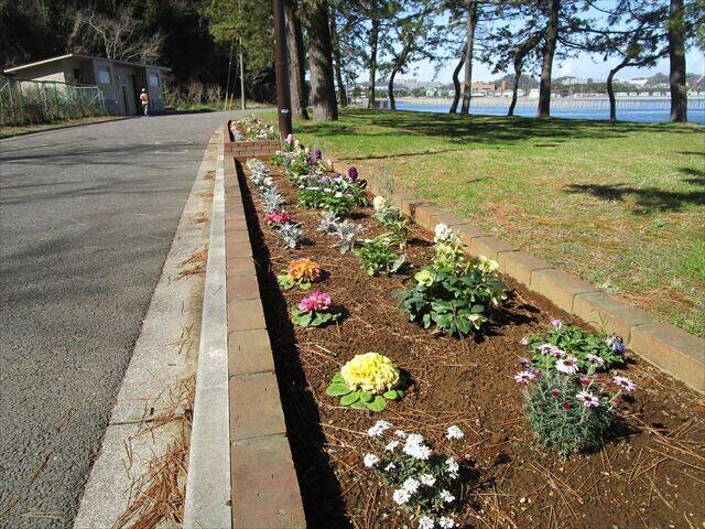 海岸花壇2.jpg