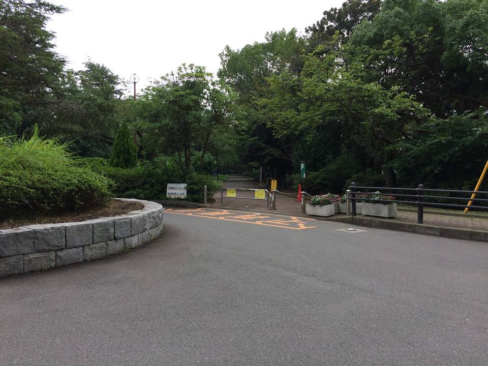 ゴール.jpg