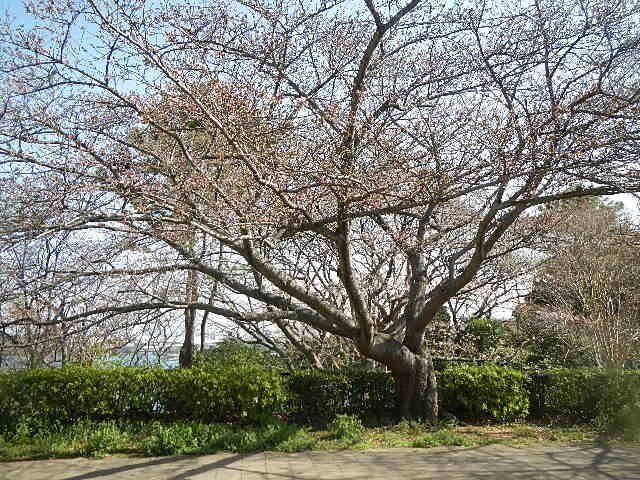 310322基準.jpg