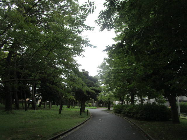 2908316二百付近.jpg