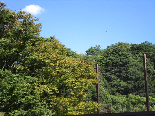 IMG_0374.jpg