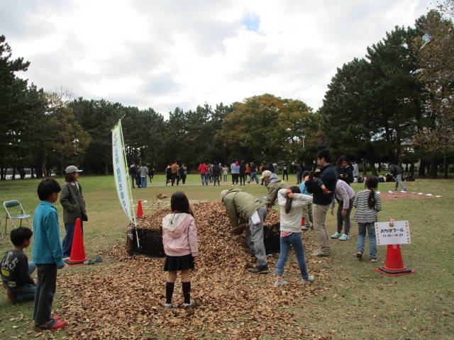 291119落ち葉プール1