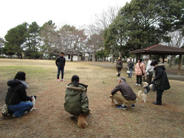 愛犬1