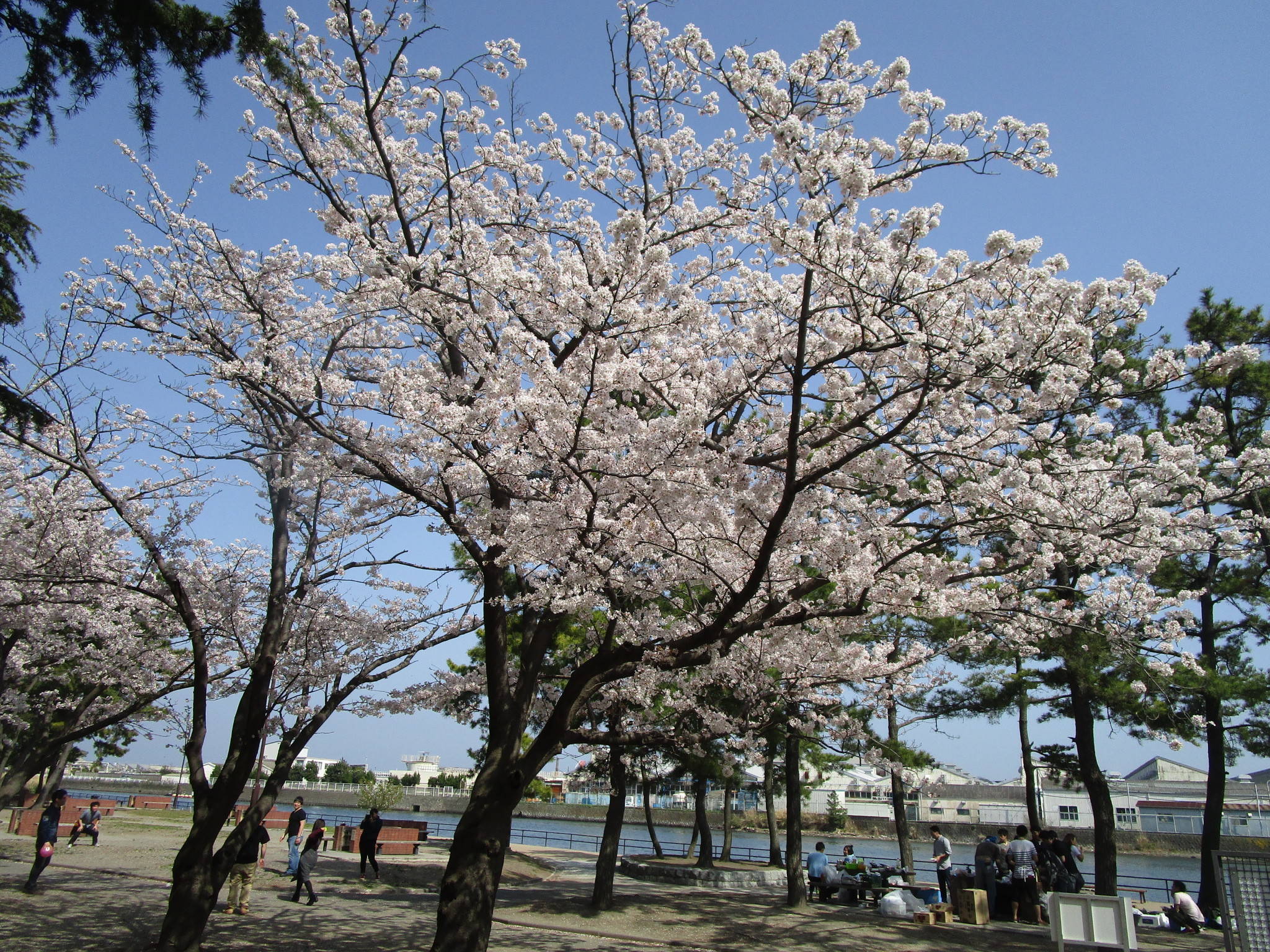 300329バーベキュー場