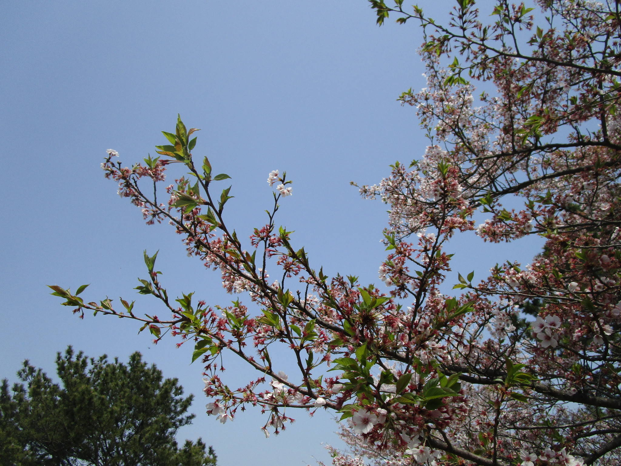 300402基準アップ