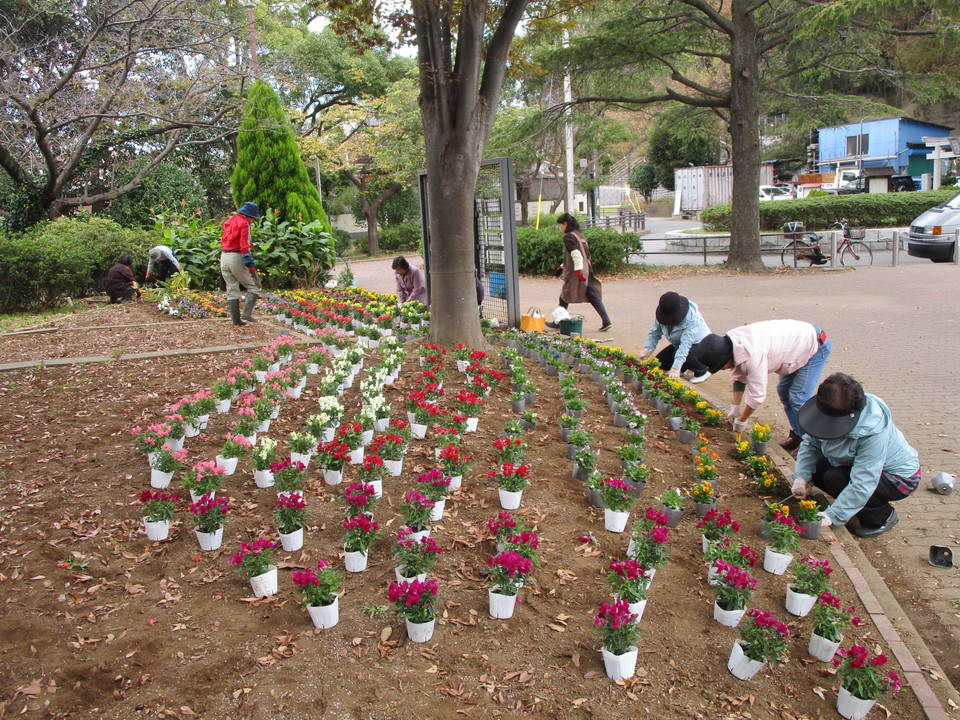 301103花植え