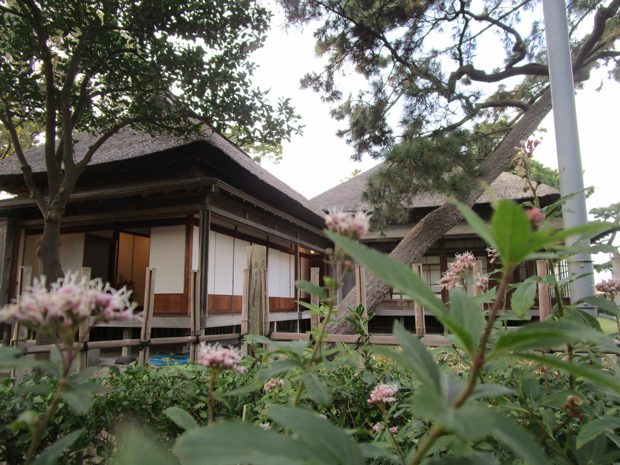 301116ﾌｼﾞﾊﾞｶﾏ