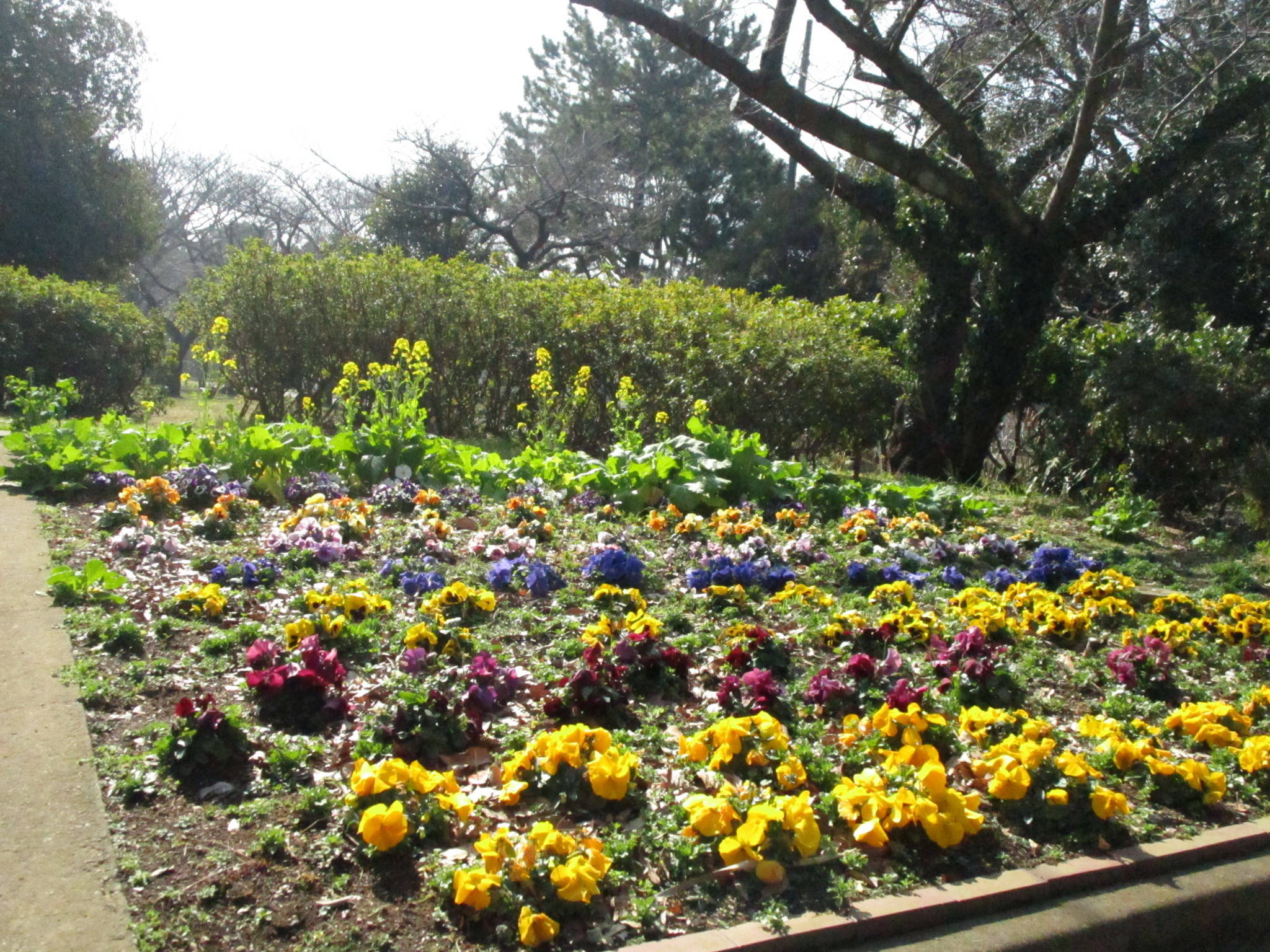 310220研修センター前