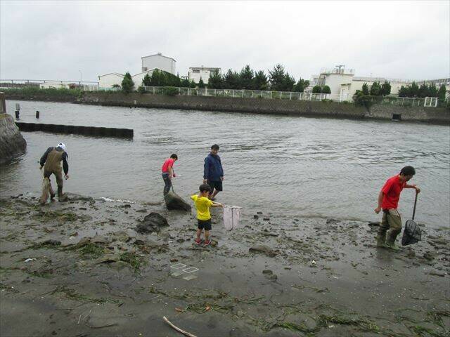 海の生き物探し.jpg