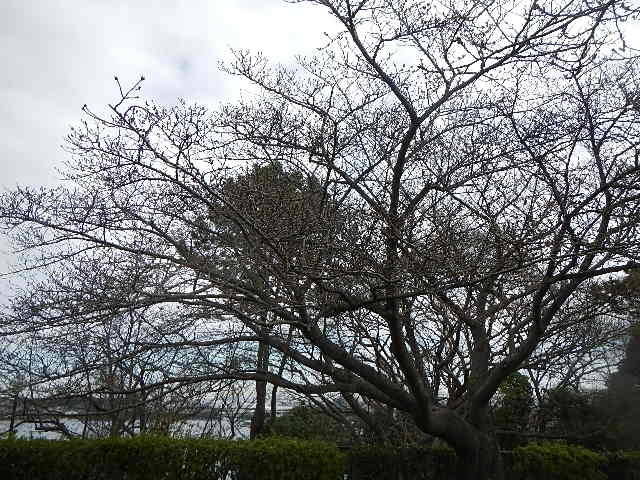 310319基準.jpg