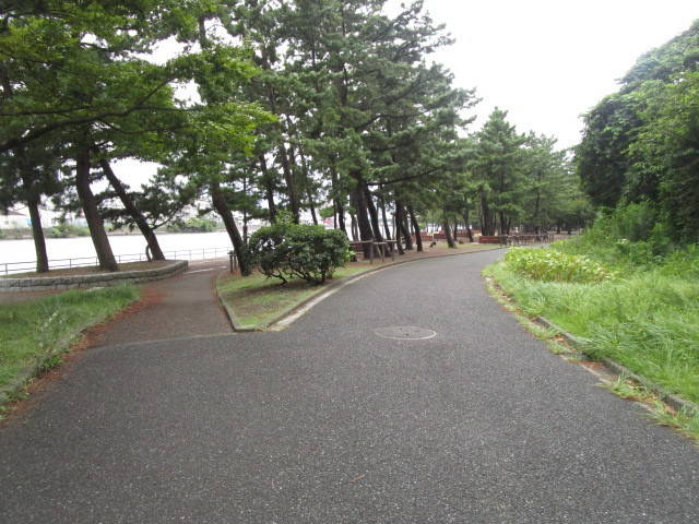 折り返し後.jpg
