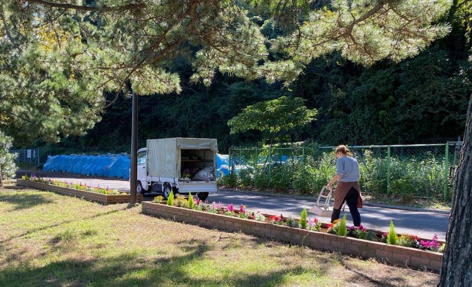 海岸花壇 植替えました ブログ 野島公園 旧伊藤博文金沢別邸公式サイト 公益財団法人 横浜市緑の協会