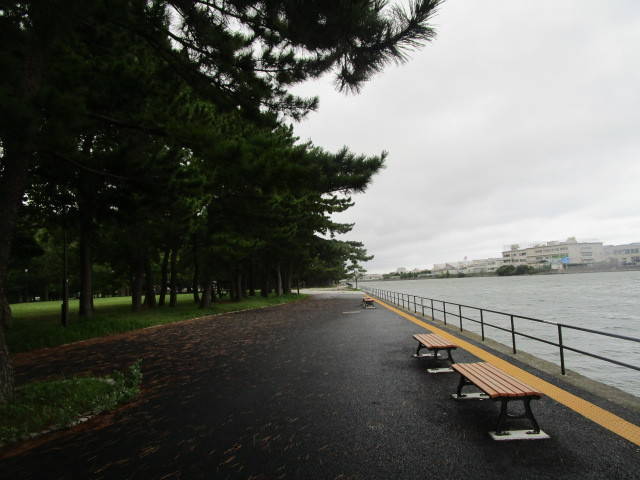 2908318三百付近運河.jpg