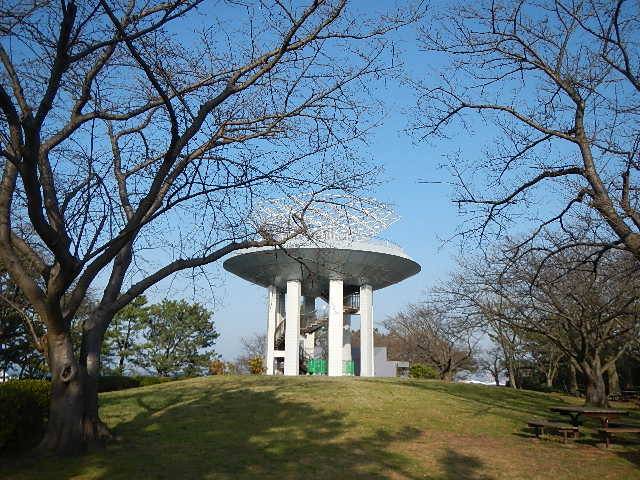 3月16日展望台.jpg