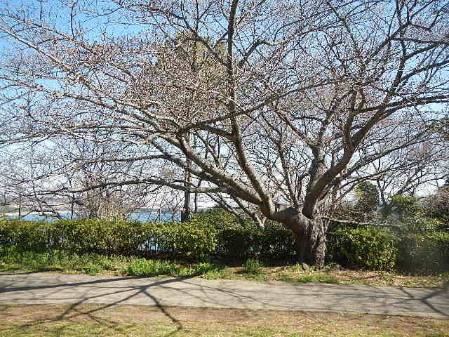 310318基準.jpg