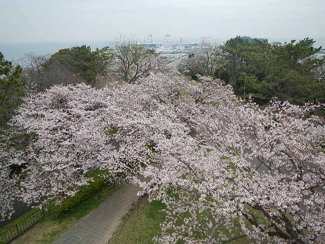 3月31日展望台から.jpg