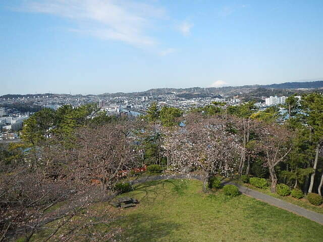 展望台から.jpg