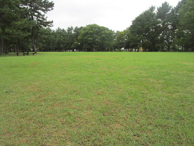 290831旧キャンプ場.jpg