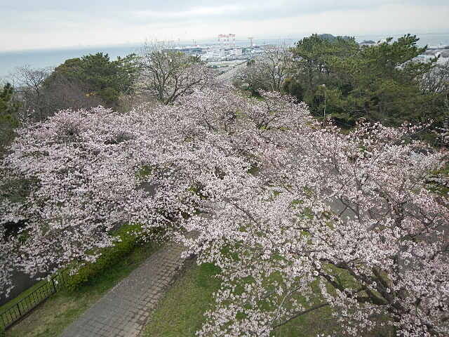 3月30日展望台から.jpg