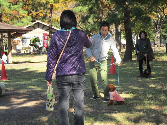 愛犬まて1