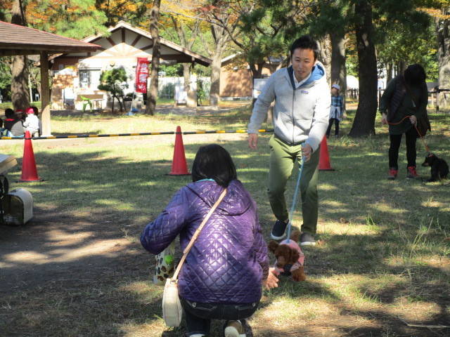愛犬まて2