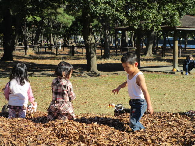 落ち葉プール１