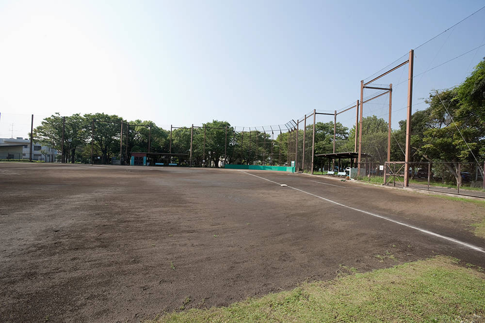 野島公園の写真