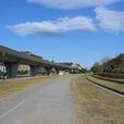 海の公園 臨時駐車場