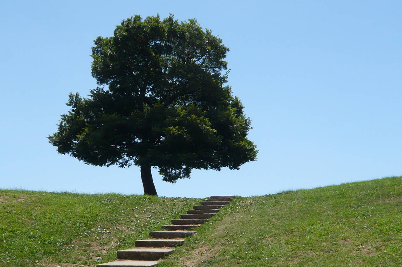 清水ヶ丘公園の写真