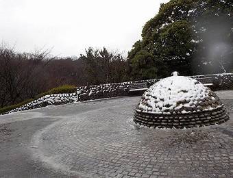 雪の富岡総合公園の写真