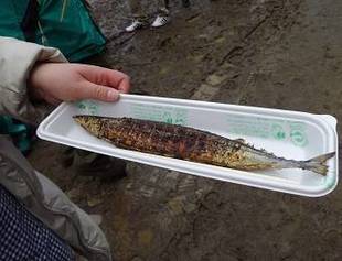 富岡総合公園感謝祭