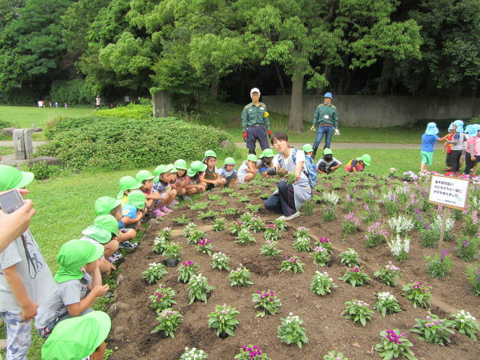花植え体験 ブログ 富岡総合公園公式サイト 公益財団法人 横浜市緑の協会 花植え体験 ブログ 富岡総合公園公式サイト 公益財団法人 横浜市緑の協会
