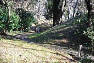 まだまだ寒い時期