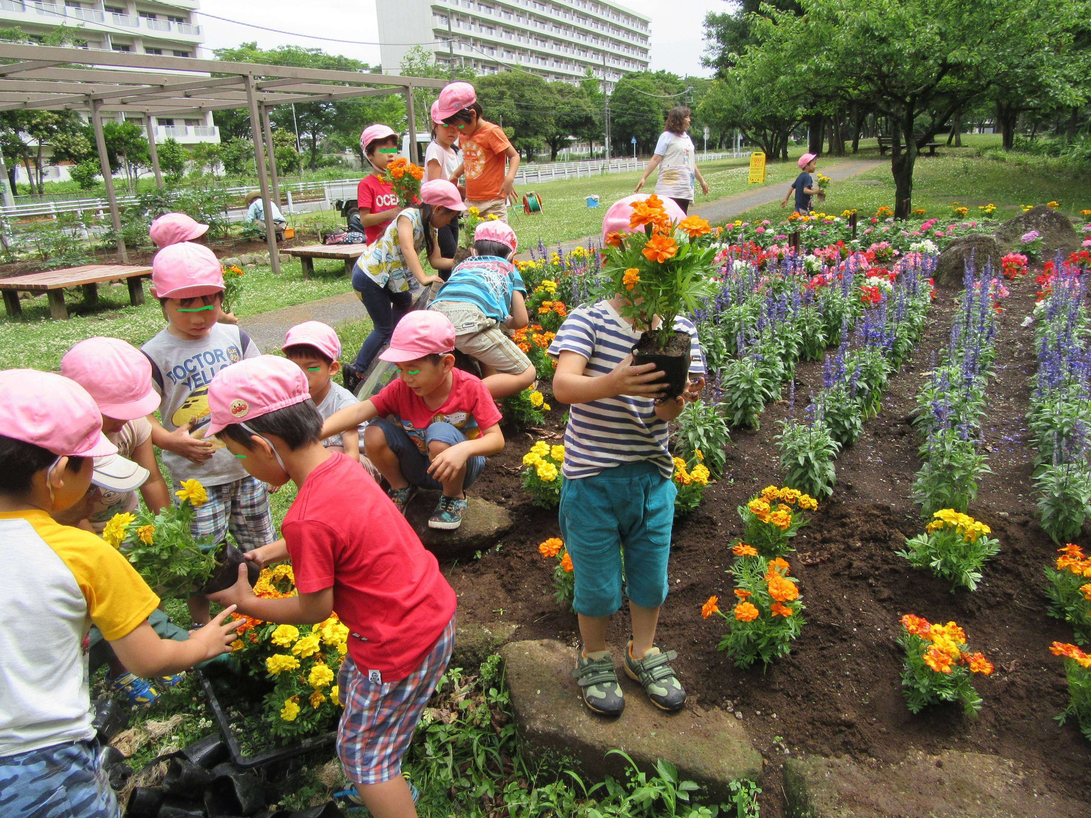花植え②の写真