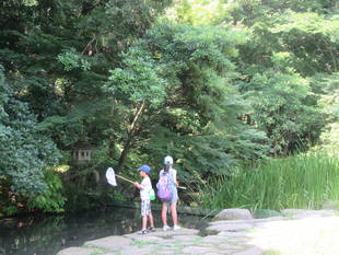 トンボとり大作戦【７月９日】