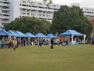 富岡総合公園感謝祭を開催いたしました