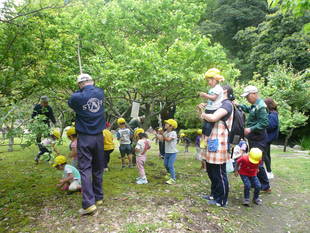 「梅もぎ体験」ご参加ありがとうございました
