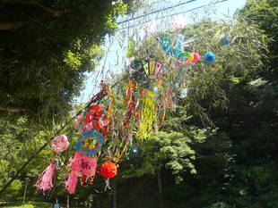 短冊に願いを込めて！