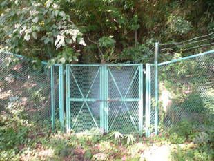  ８月１５日の終戦記念日を前に