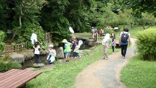 トンボとり大作戦【8月12日】【9月16日】