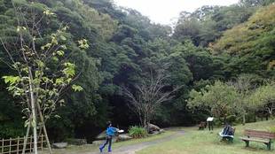 トンボとり大作戦【10月14日】