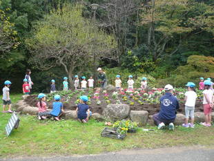 花壇で花植えを行いました