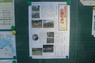 公園だより（2018年12月）