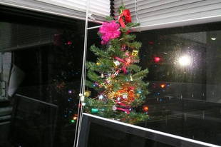 思い出いっぱいのクリスマスツリーです