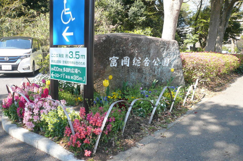 色とりどりの春の花の写真