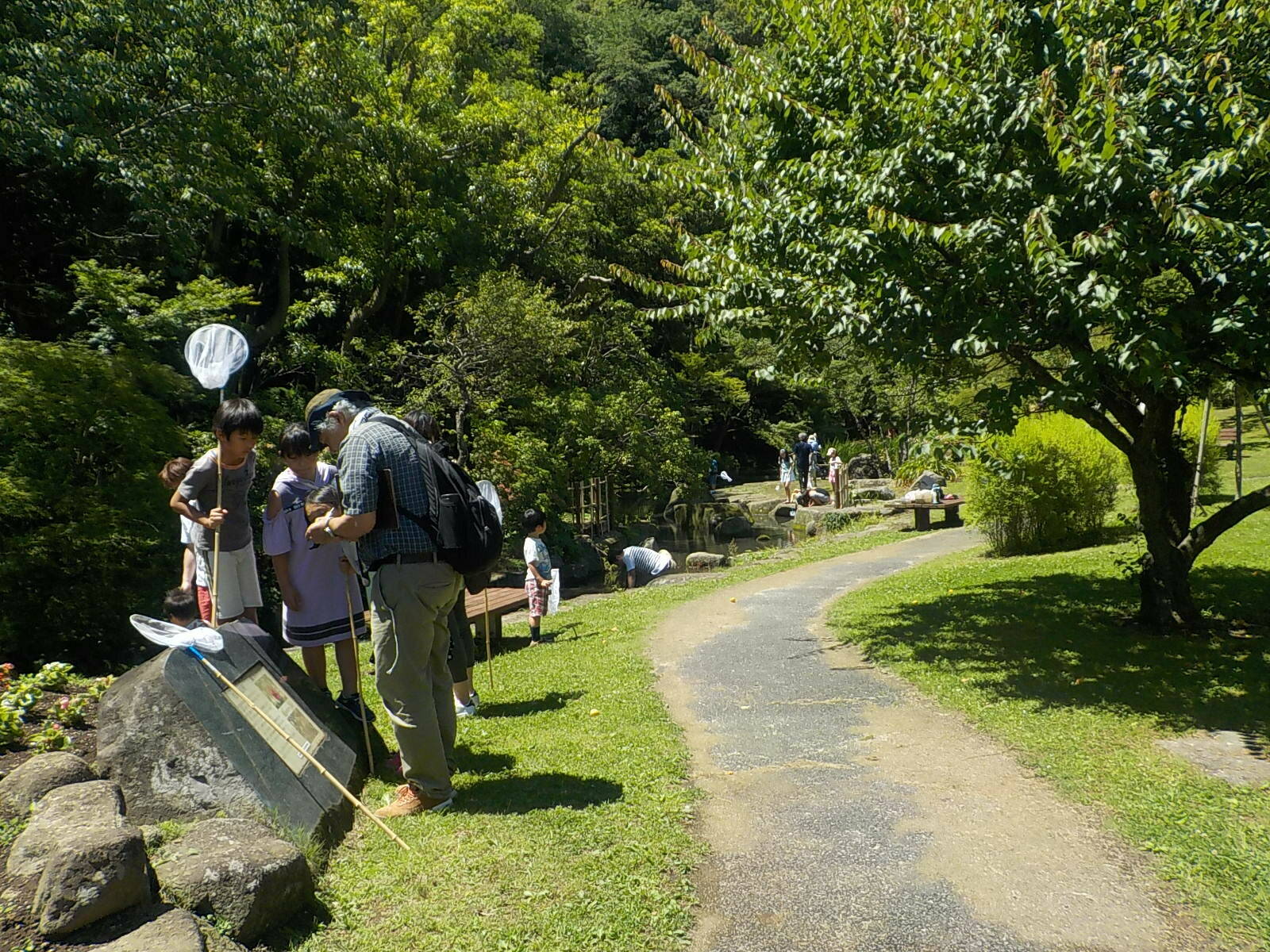 トンボとり大作戦【6月16日】の写真